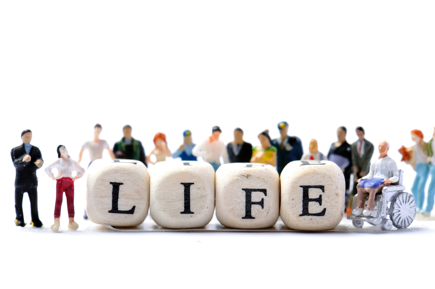 life.jpg life