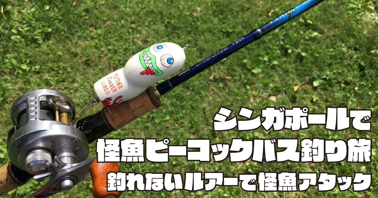 シンガポールで怪魚ピーコックバス釣り旅。釣れないルアーで怪魚アタック！