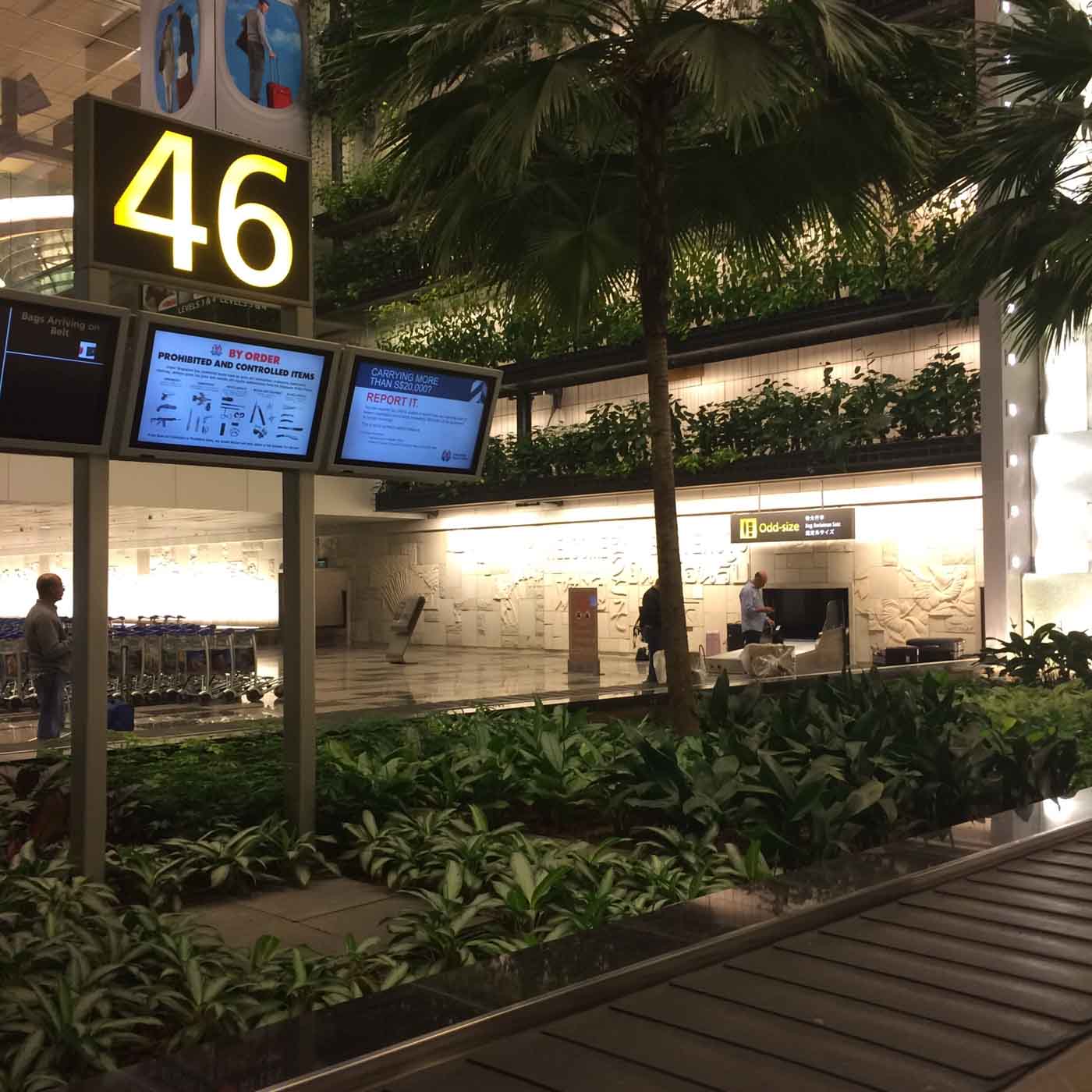 Airport