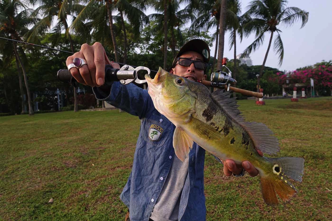 Fish