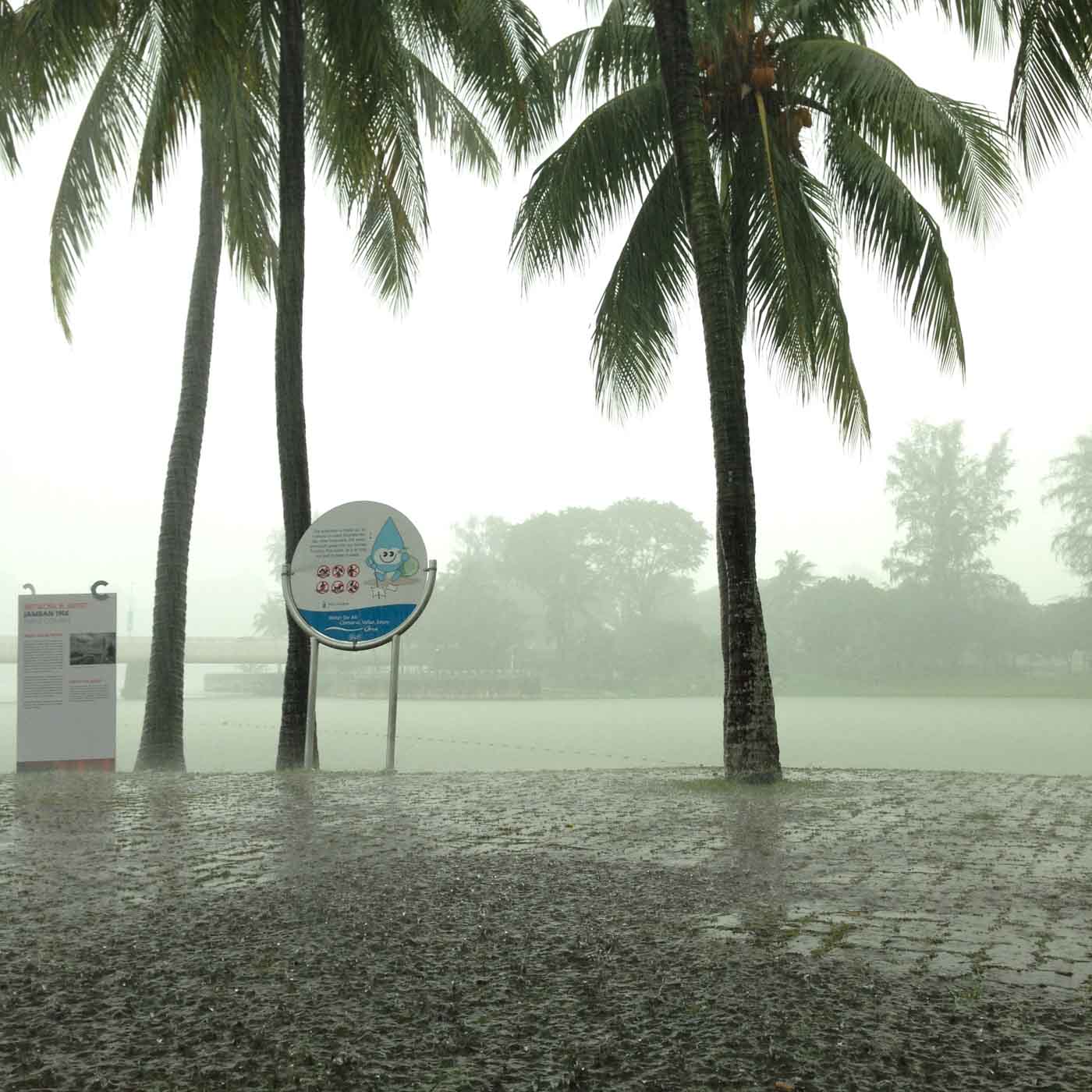 Rain